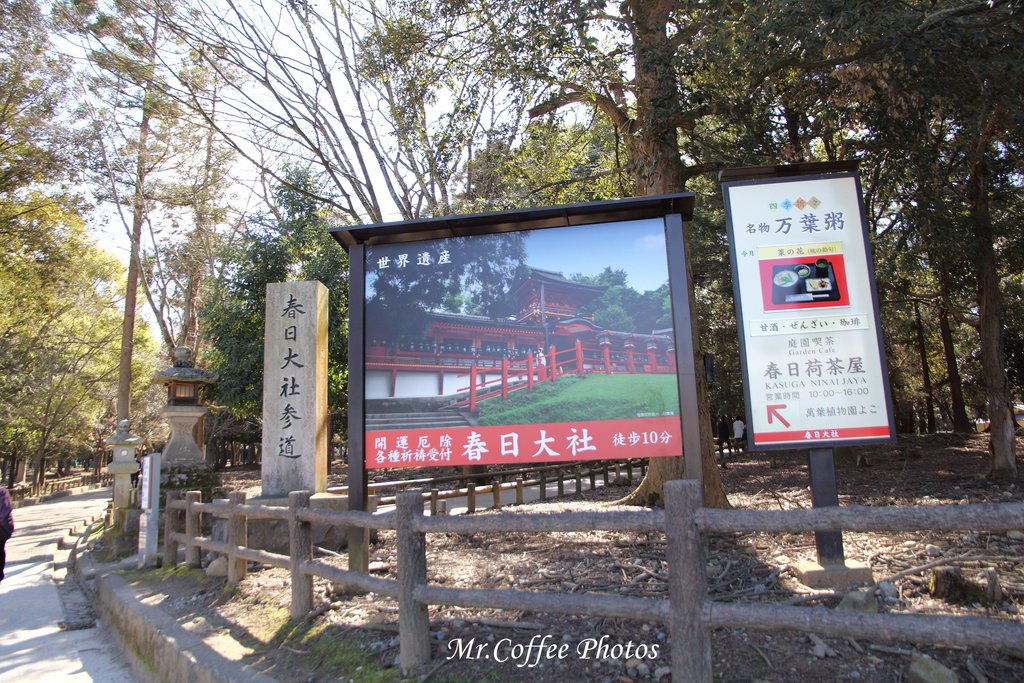 IMG_2519.jpg - D05-02.奈良公園