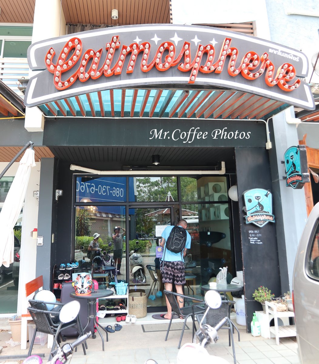IMG_3445.JPG - D17清邁 3貓咖啡 Catmosphere Cat Café