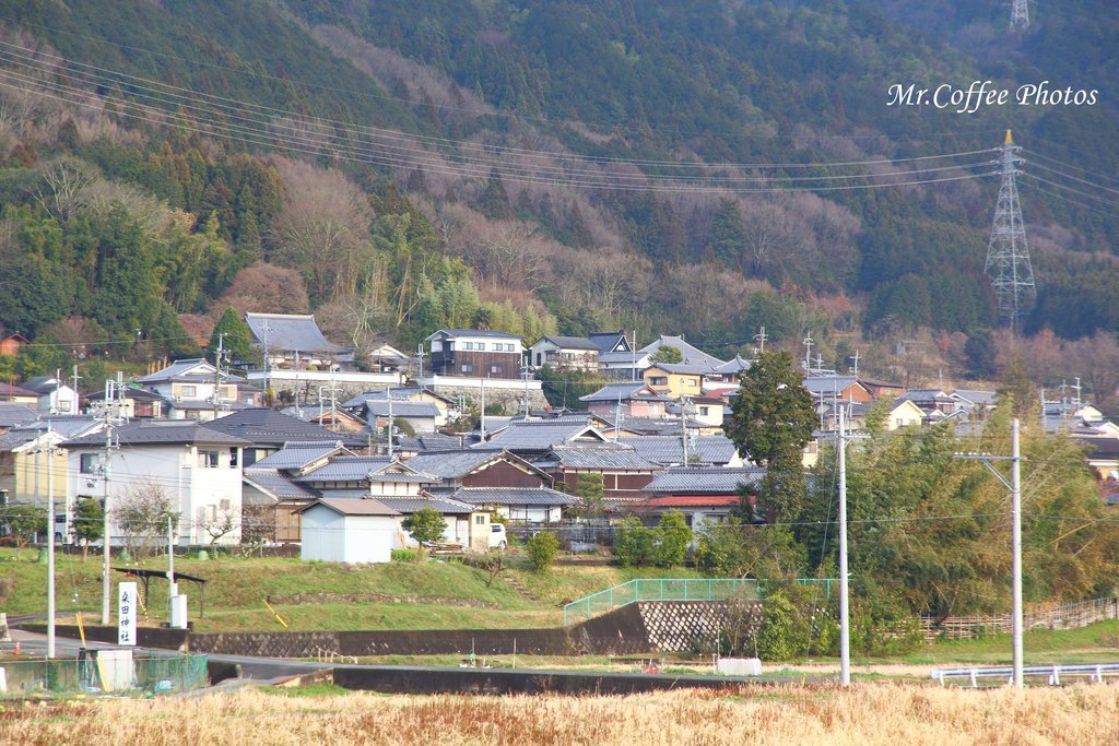 IMG_3609.jpg - D07-05.嵐山小火車