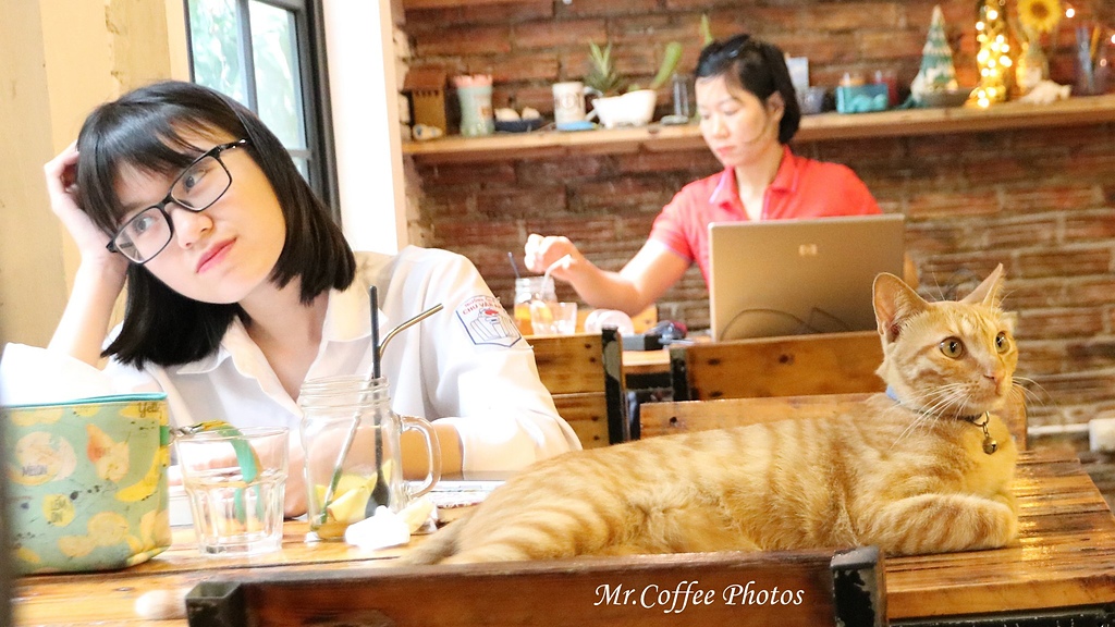 【越南。河內】《Bluebirds' Nest 藍鳥咖啡》有貓沒有鳥，無塑吸管喝咖啡 (03).jpg - 旅行走過的咖啡館